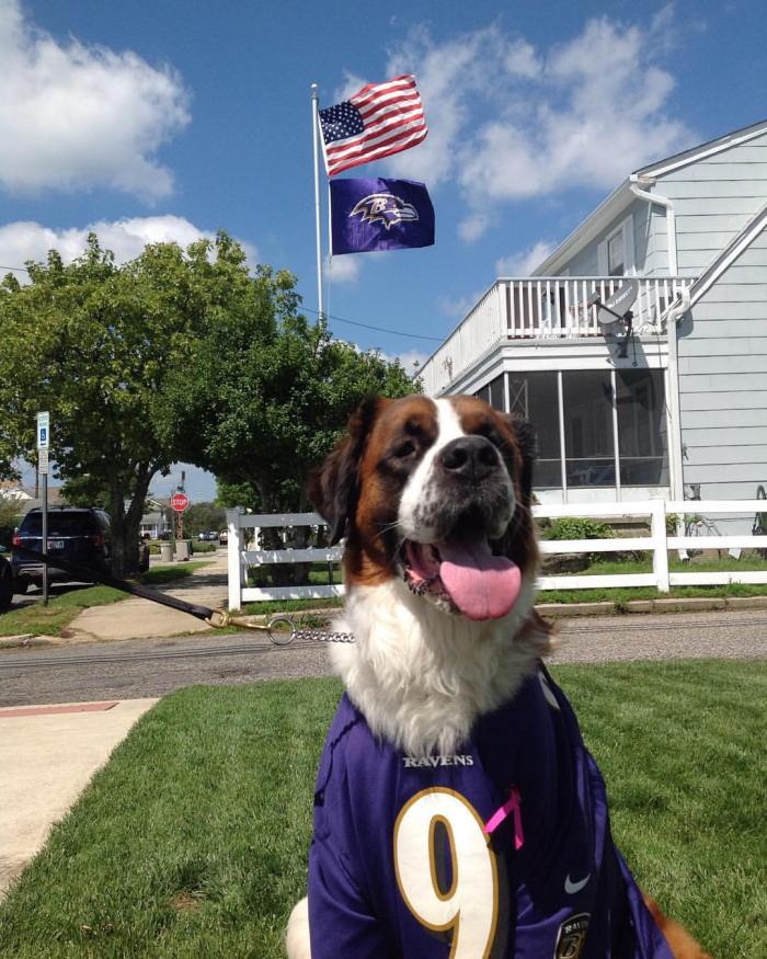 14068579_10209066161723013_8024825945151104891_o