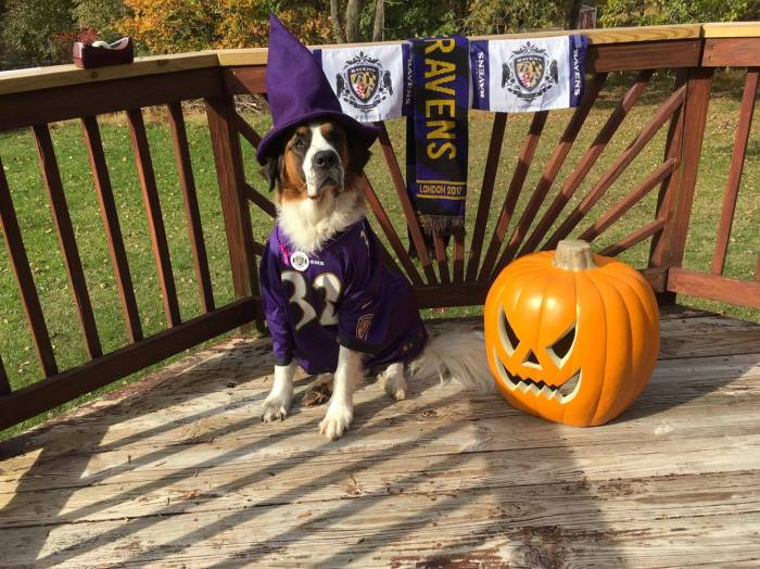 22883562_10212904349075298_1603081522_o