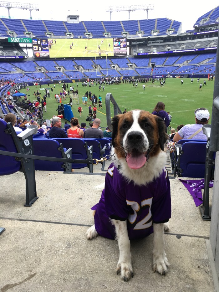 C6D8634D-4335-4EB3-8E48-43D4F4C248E5