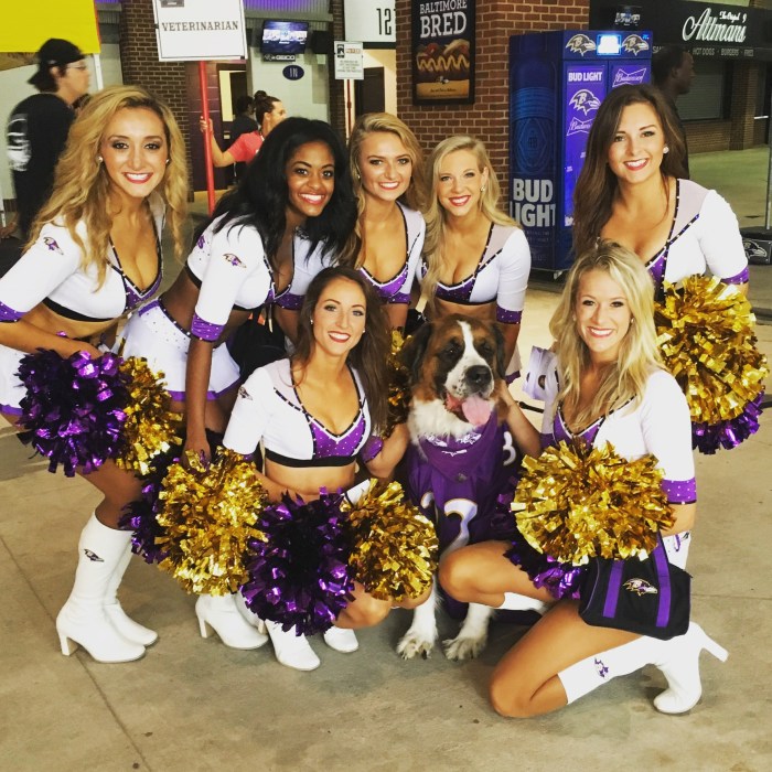 CE01F6FB-D8AF-49F1-BD3D-DC6FDA761542